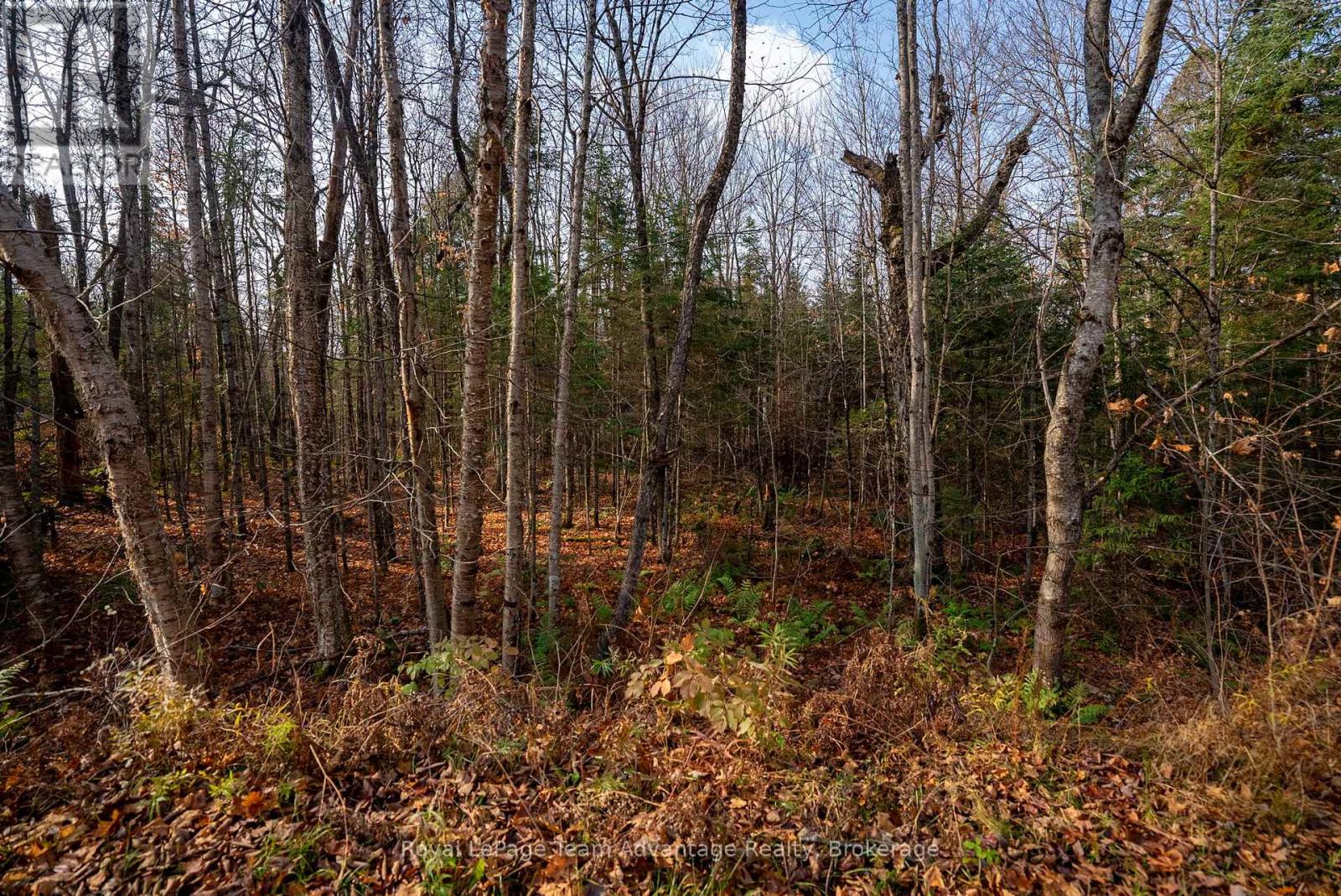 181 Clarkes Lane, Huntsville, Ontario  P0B 1M0 - Photo 17 - X12127716