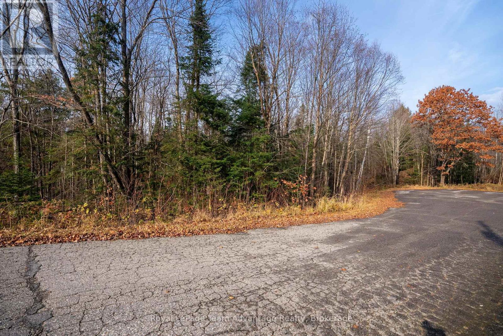 181 Clarkes Lane, Huntsville, Ontario  P0B 1M0 - Photo 18 - X12127716