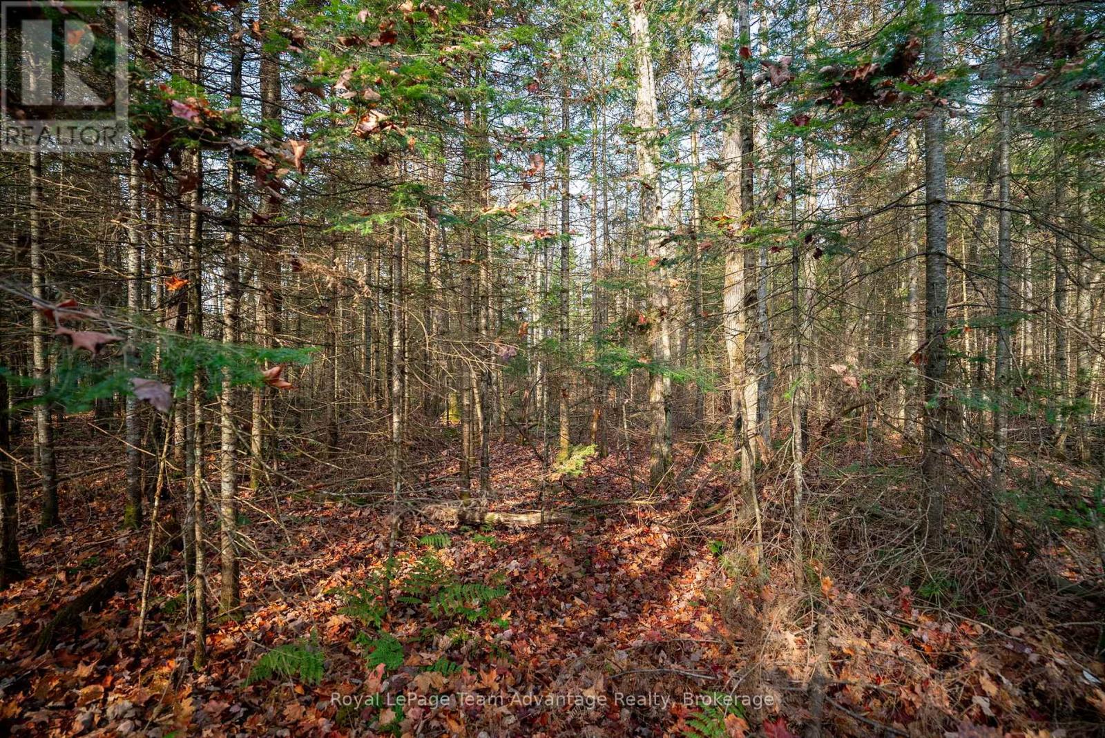 181 Clarkes Lane, Huntsville, Ontario  P0B 1M0 - Photo 19 - X12127716