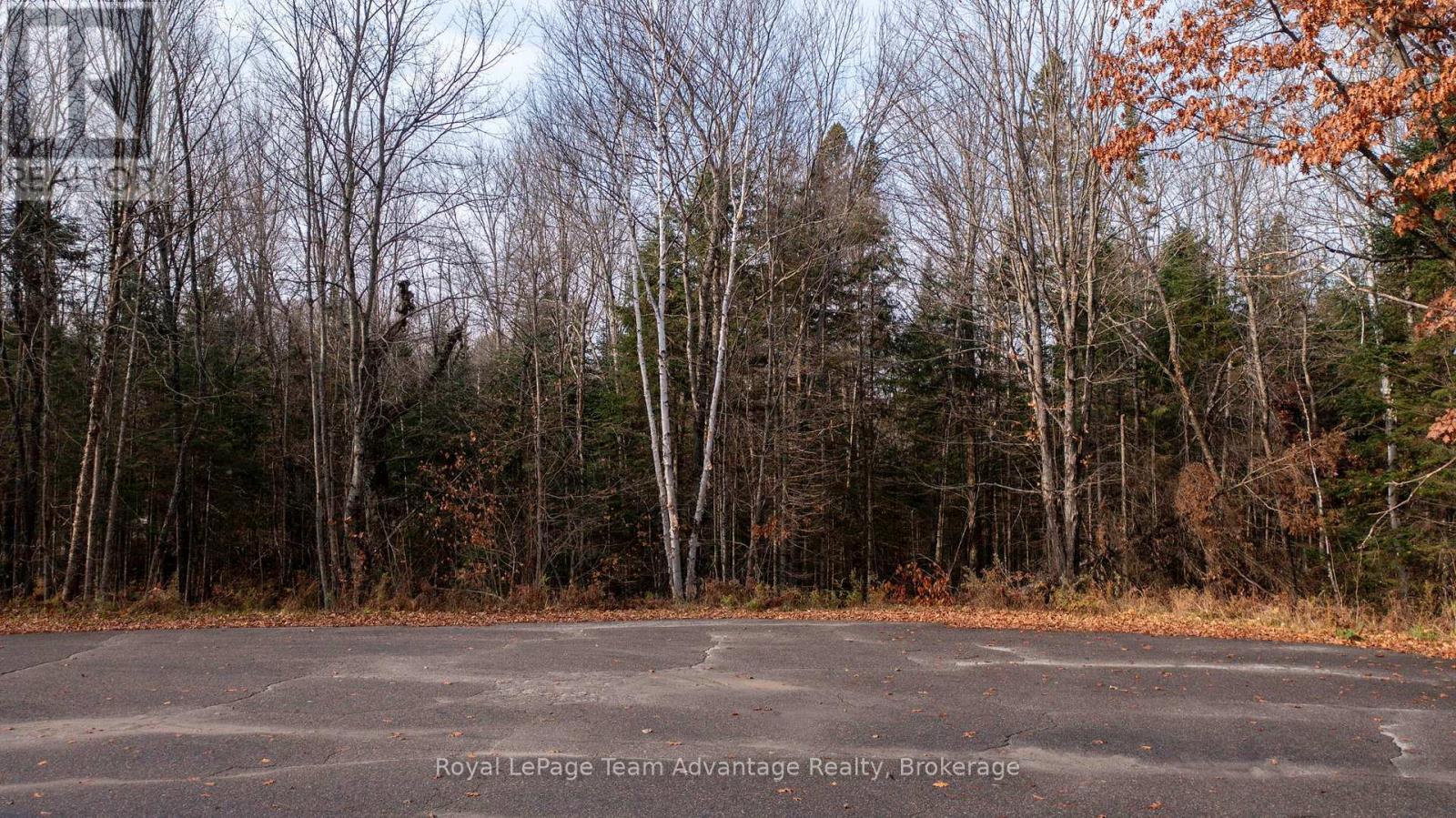 181 Clarkes Lane, Huntsville, Ontario  P0B 1M0 - Photo 2 - X12127716