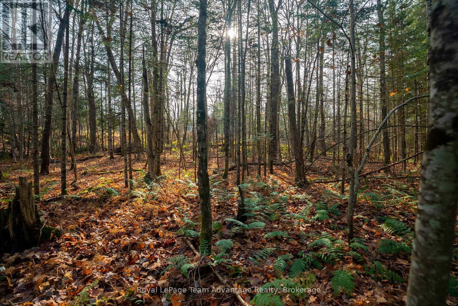 181 Clarkes Lane, Huntsville, Ontario  P0B 1M0 - Photo 20 - X12127716