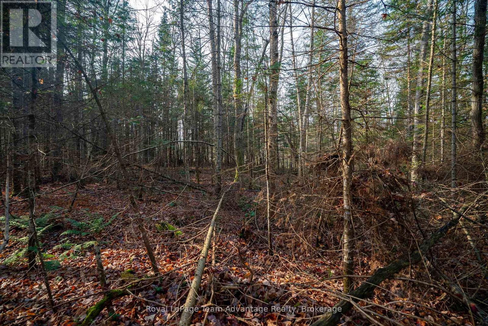 181 Clarkes Lane, Huntsville, Ontario  P0B 1M0 - Photo 21 - X12127716