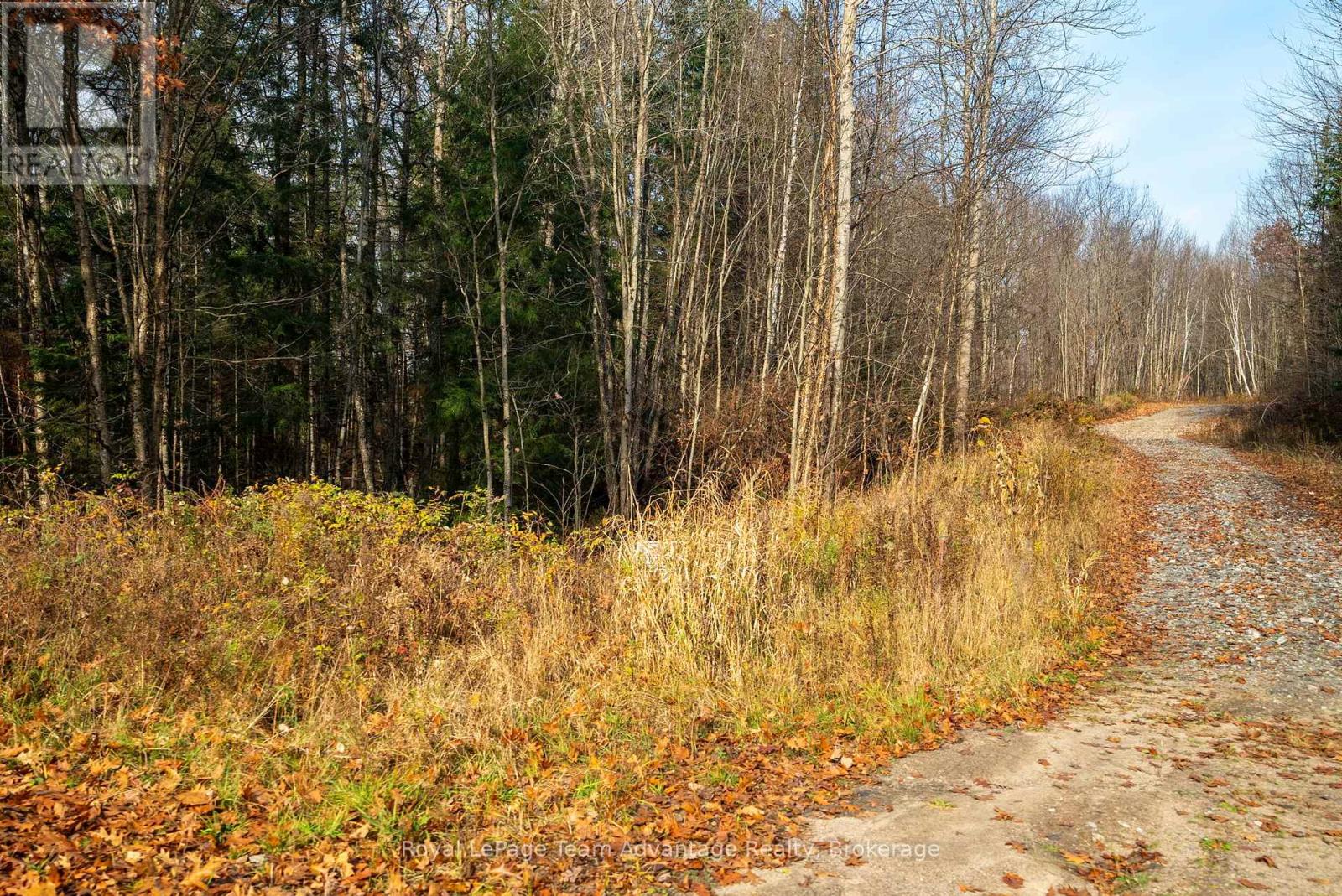 181 Clarkes Lane, Huntsville, Ontario  P0B 1M0 - Photo 22 - X12127716