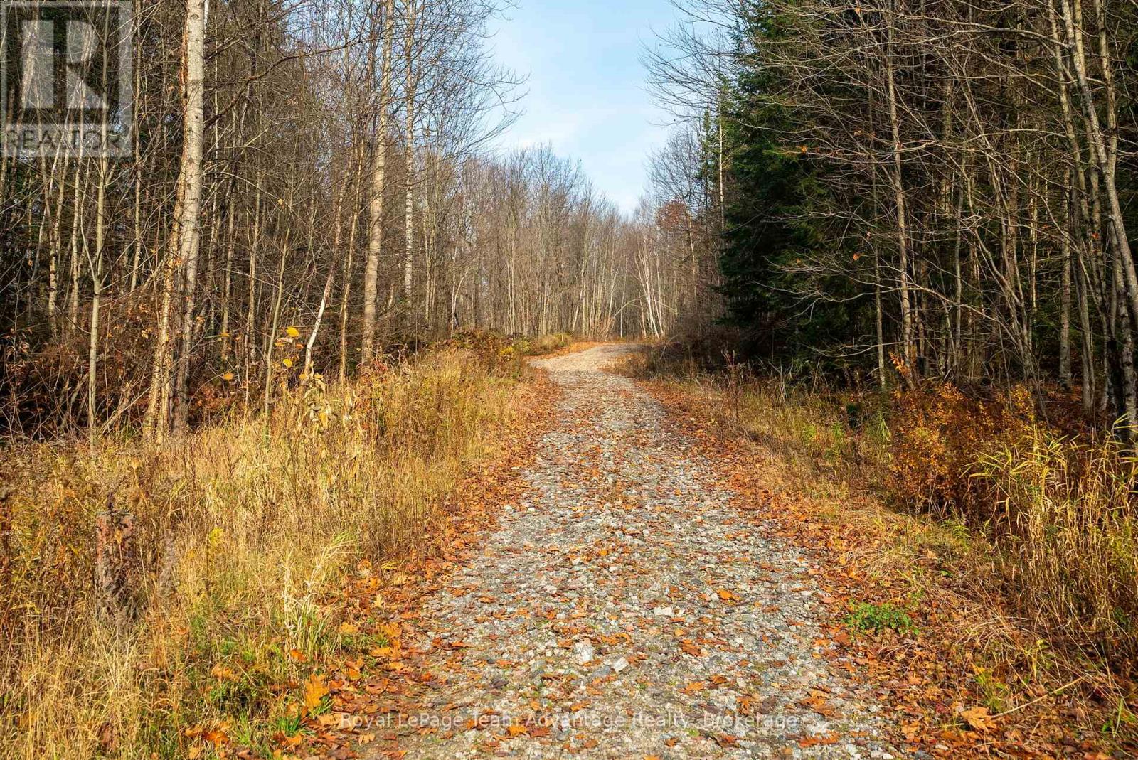 181 Clarkes Lane, Huntsville, Ontario  P0B 1M0 - Photo 23 - X12127716