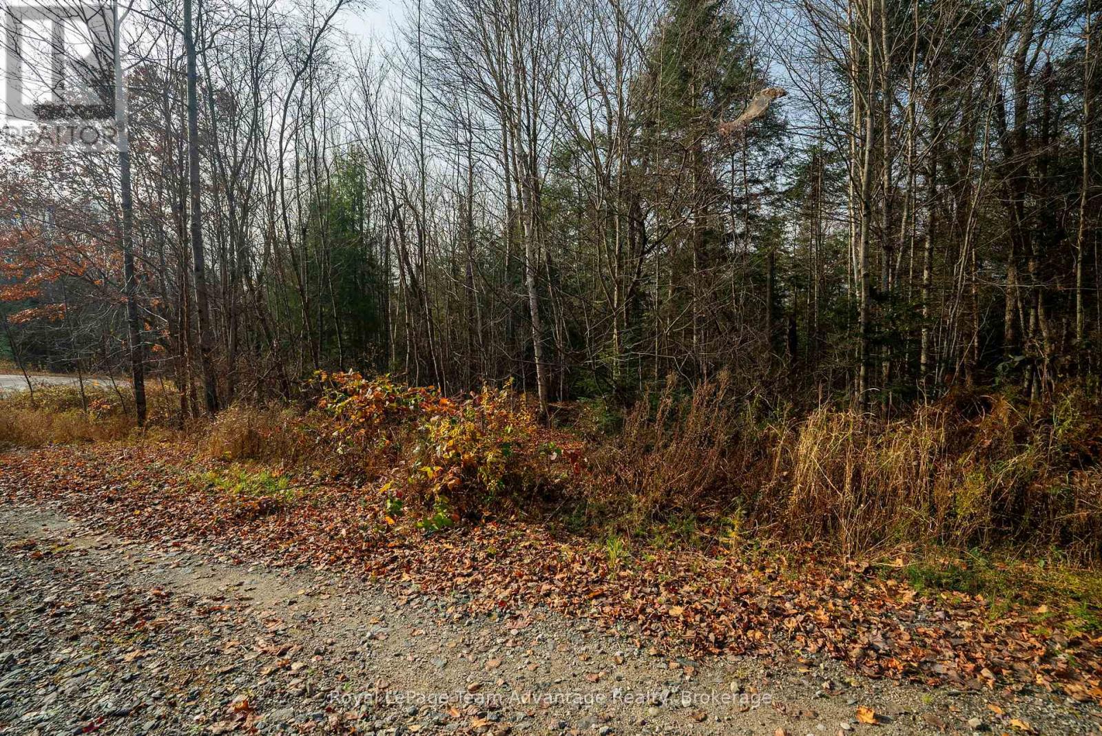 181 Clarkes Lane, Huntsville, Ontario  P0B 1M0 - Photo 24 - X12127716