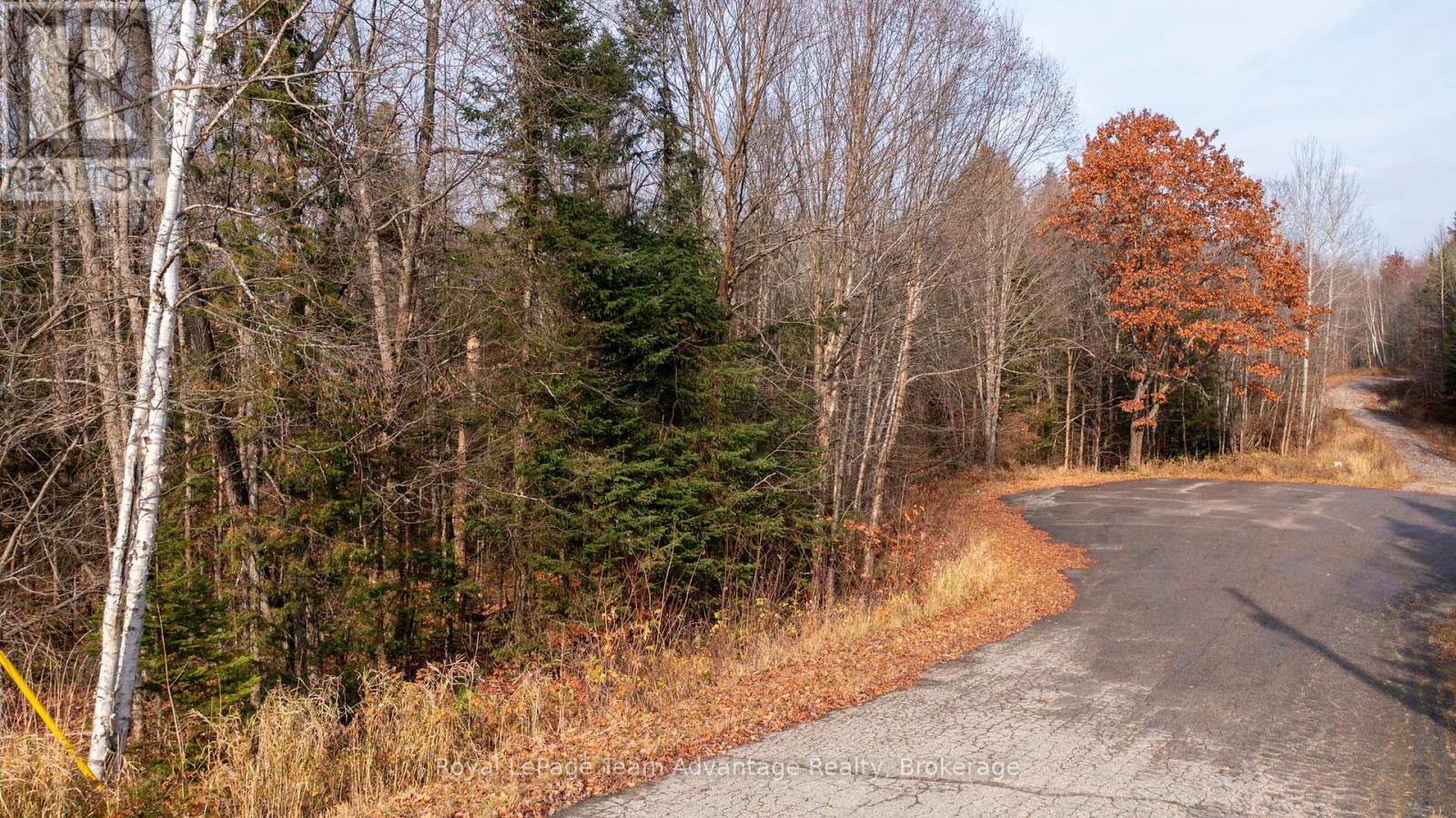 181 Clarkes Lane, Huntsville, Ontario  P0B 1M0 - Photo 3 - X12127716