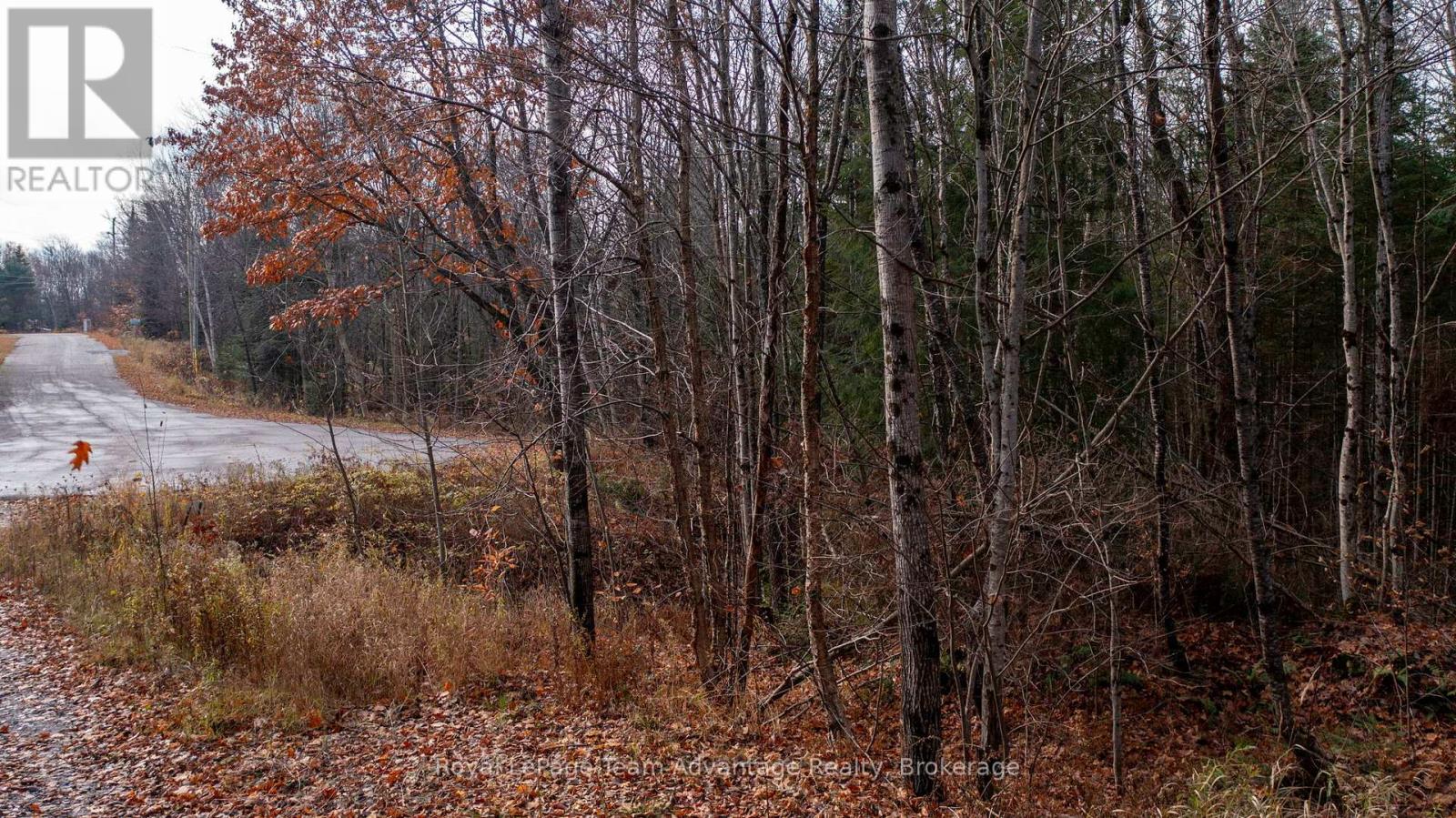 181 Clarkes Lane, Huntsville, Ontario  P0B 1M0 - Photo 4 - X12127716