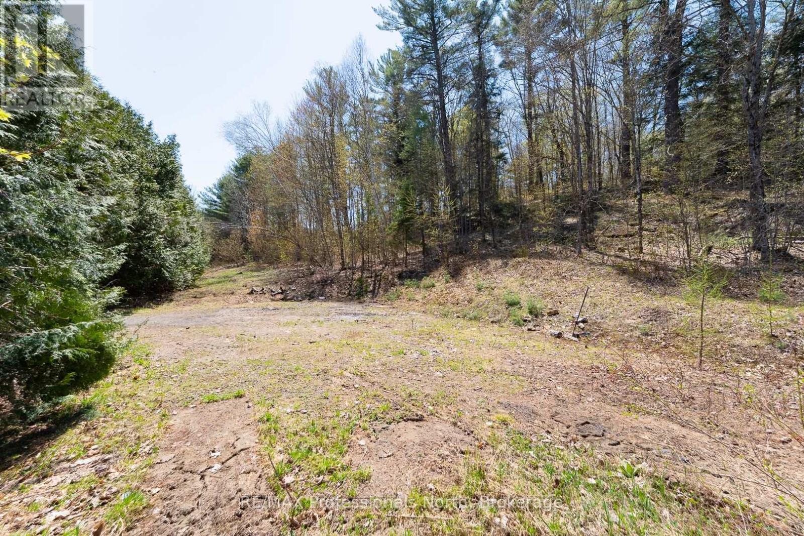 61 Clarkes Lane, Huntsville, Ontario  P0B 1M0 - Photo 12 - X12147581