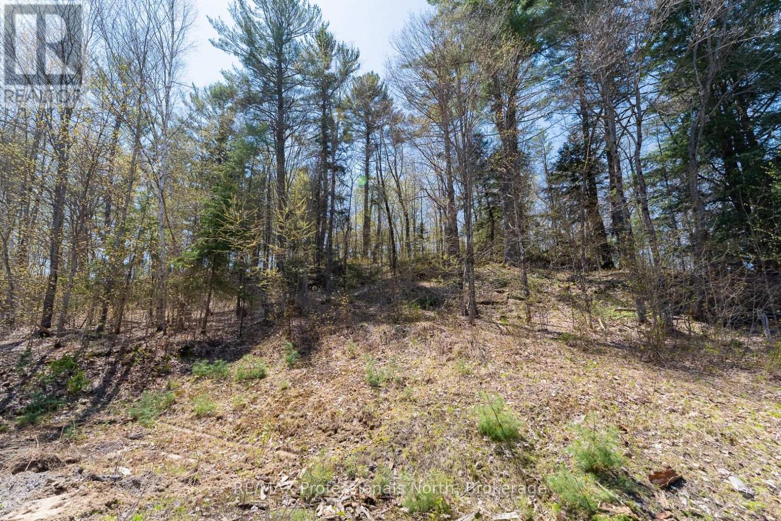 61 Clarkes Lane, Huntsville, Ontario  P0B 1M0 - Photo 13 - X12147581