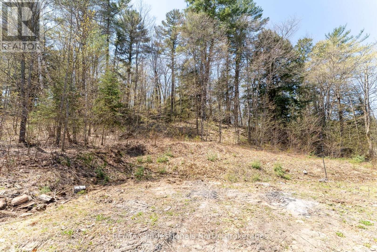 61 Clarkes Lane, Huntsville, Ontario  P0B 1M0 - Photo 14 - X12147581