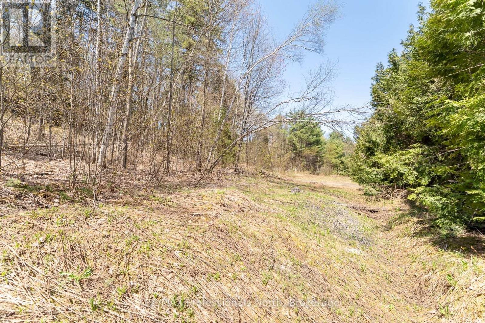 61 Clarkes Lane, Huntsville, Ontario  P0B 1M0 - Photo 15 - X12147581