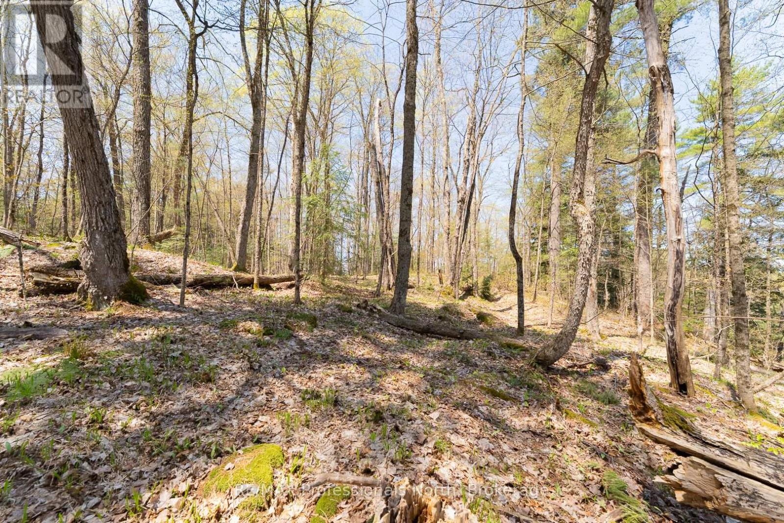 61 Clarkes Lane, Huntsville, Ontario  P0B 1M0 - Photo 16 - X12147581