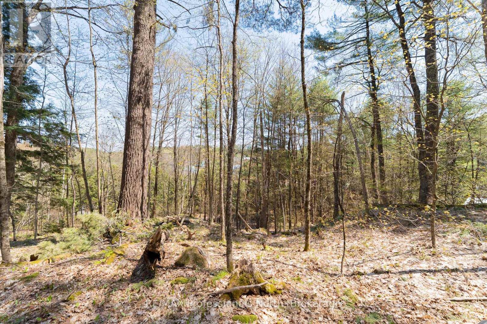 61 Clarkes Lane, Huntsville, Ontario  P0B 1M0 - Photo 17 - X12147581