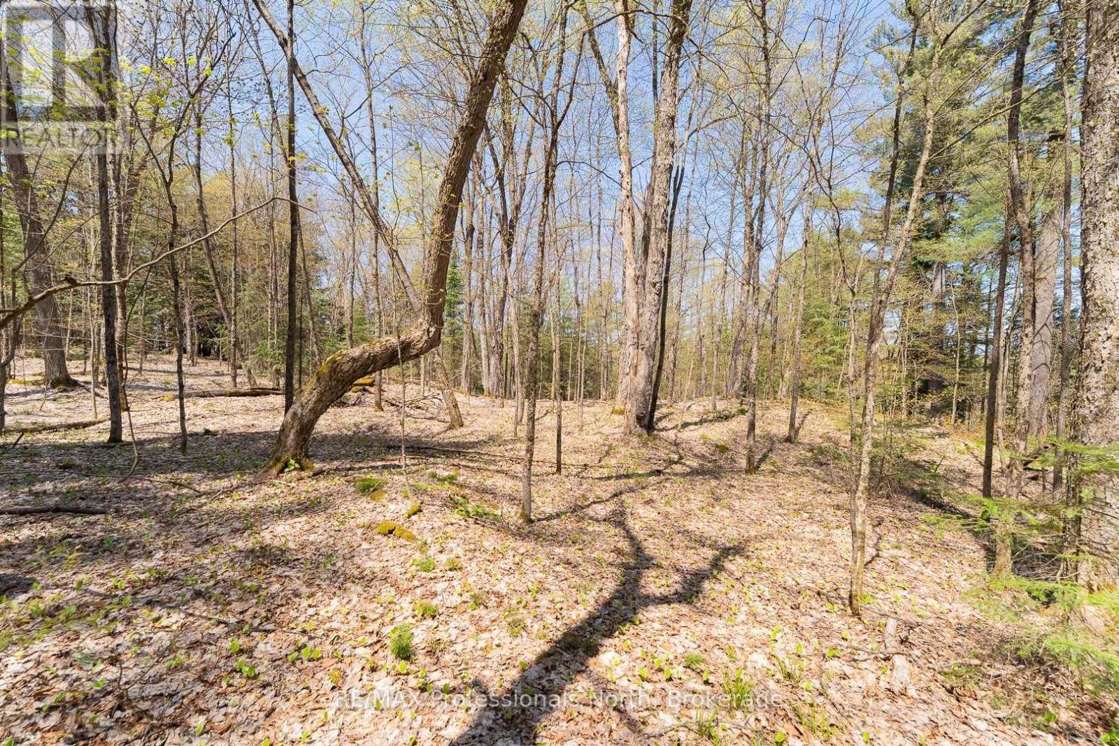 61 Clarkes Lane, Huntsville, Ontario  P0B 1M0 - Photo 18 - X12147581