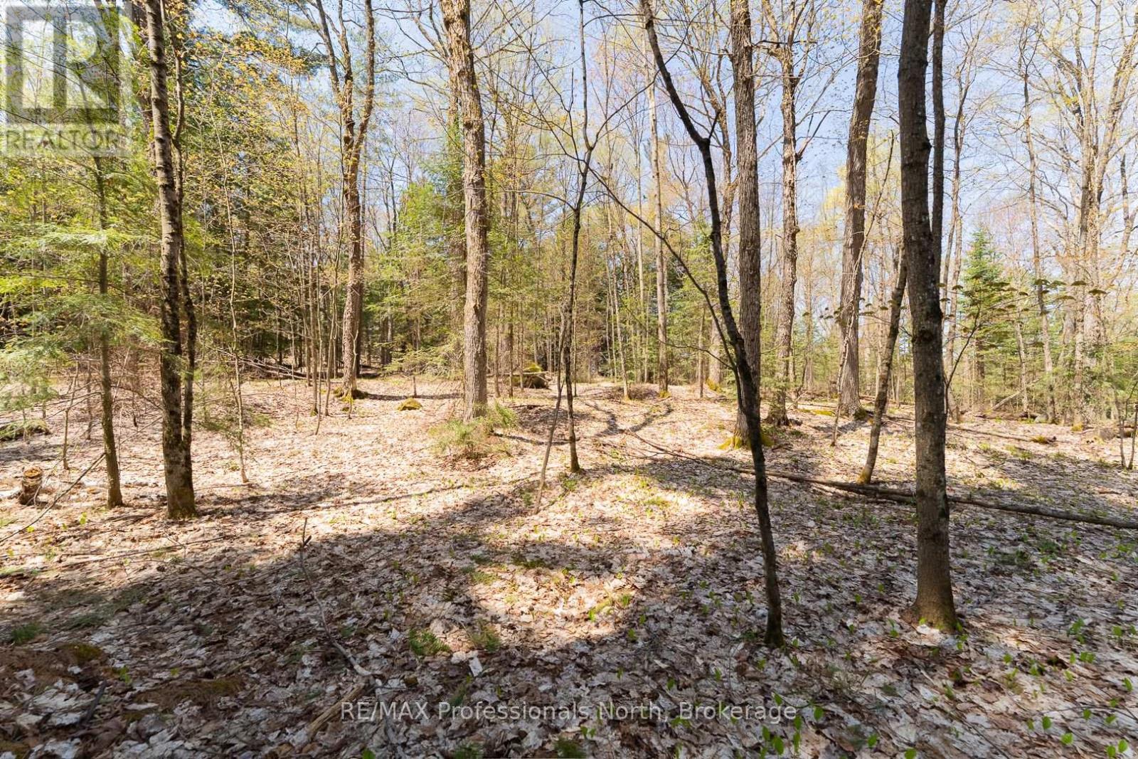 61 Clarkes Lane, Huntsville, Ontario  P0B 1M0 - Photo 19 - X12147581