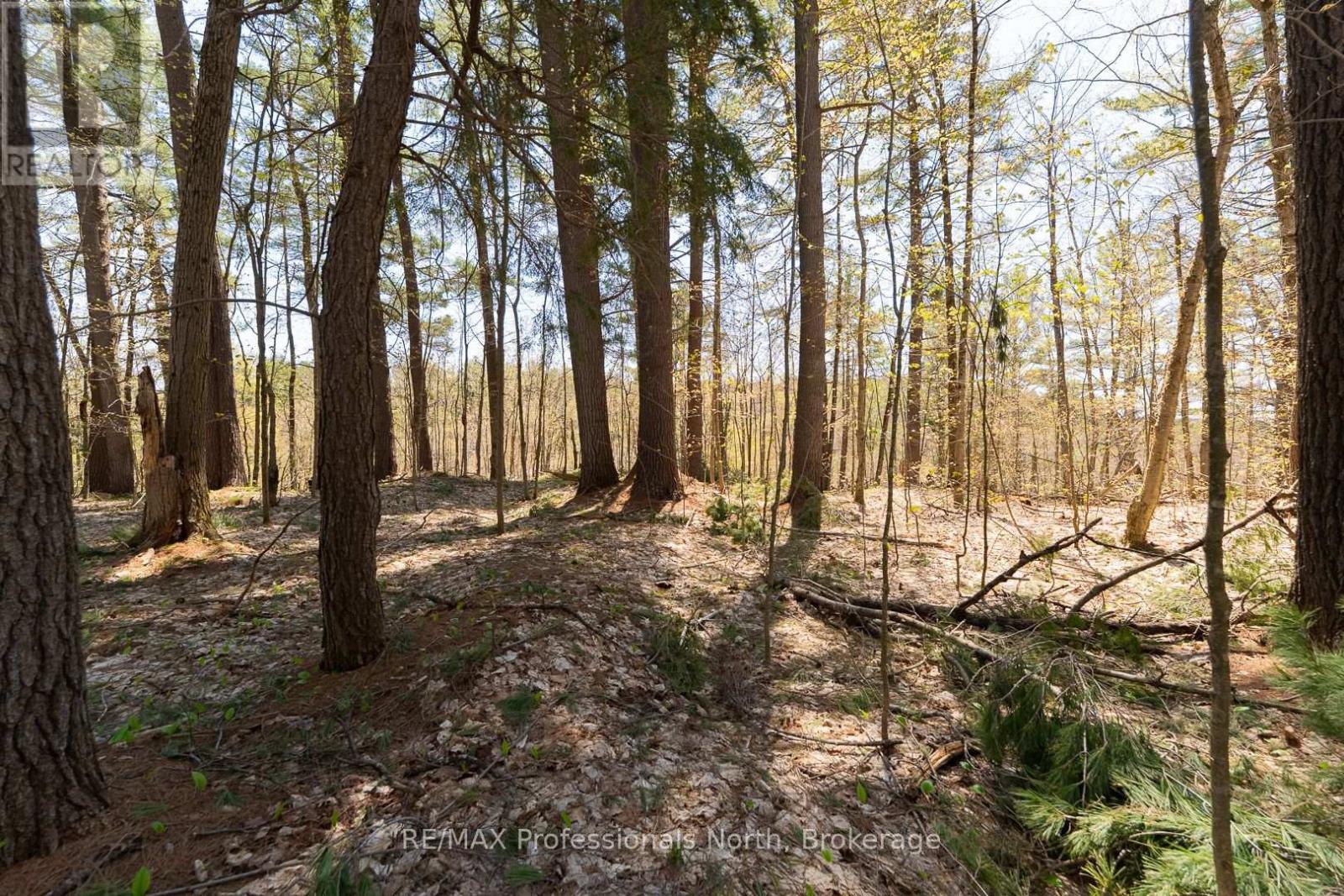 61 Clarkes Lane, Huntsville, Ontario  P0B 1M0 - Photo 20 - X12147581