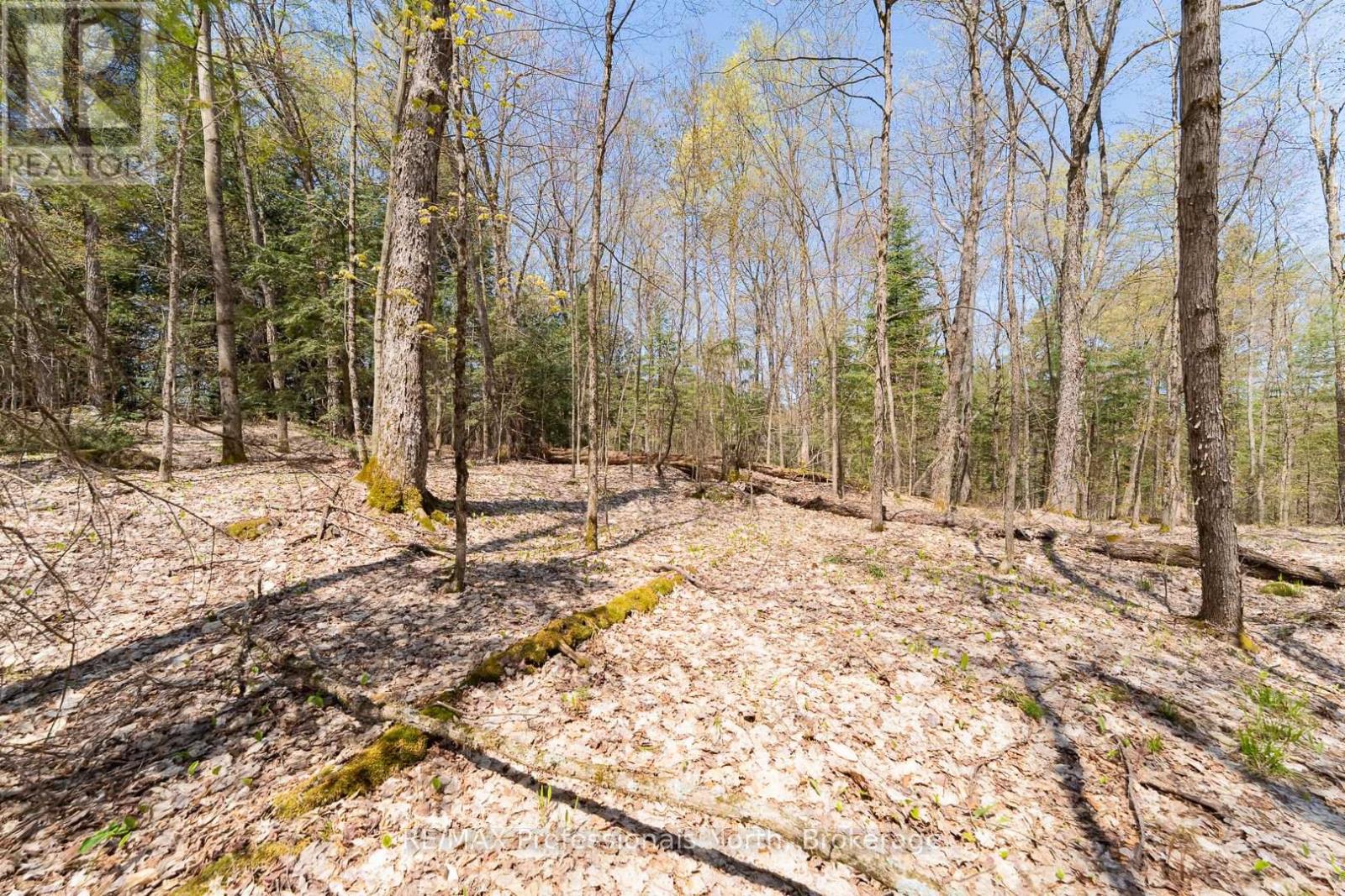 61 Clarkes Lane, Huntsville, Ontario  P0B 1M0 - Photo 21 - X12147581