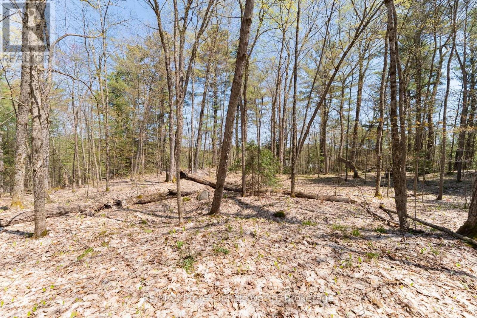 61 Clarkes Lane, Huntsville, Ontario  P0B 1M0 - Photo 22 - X12147581