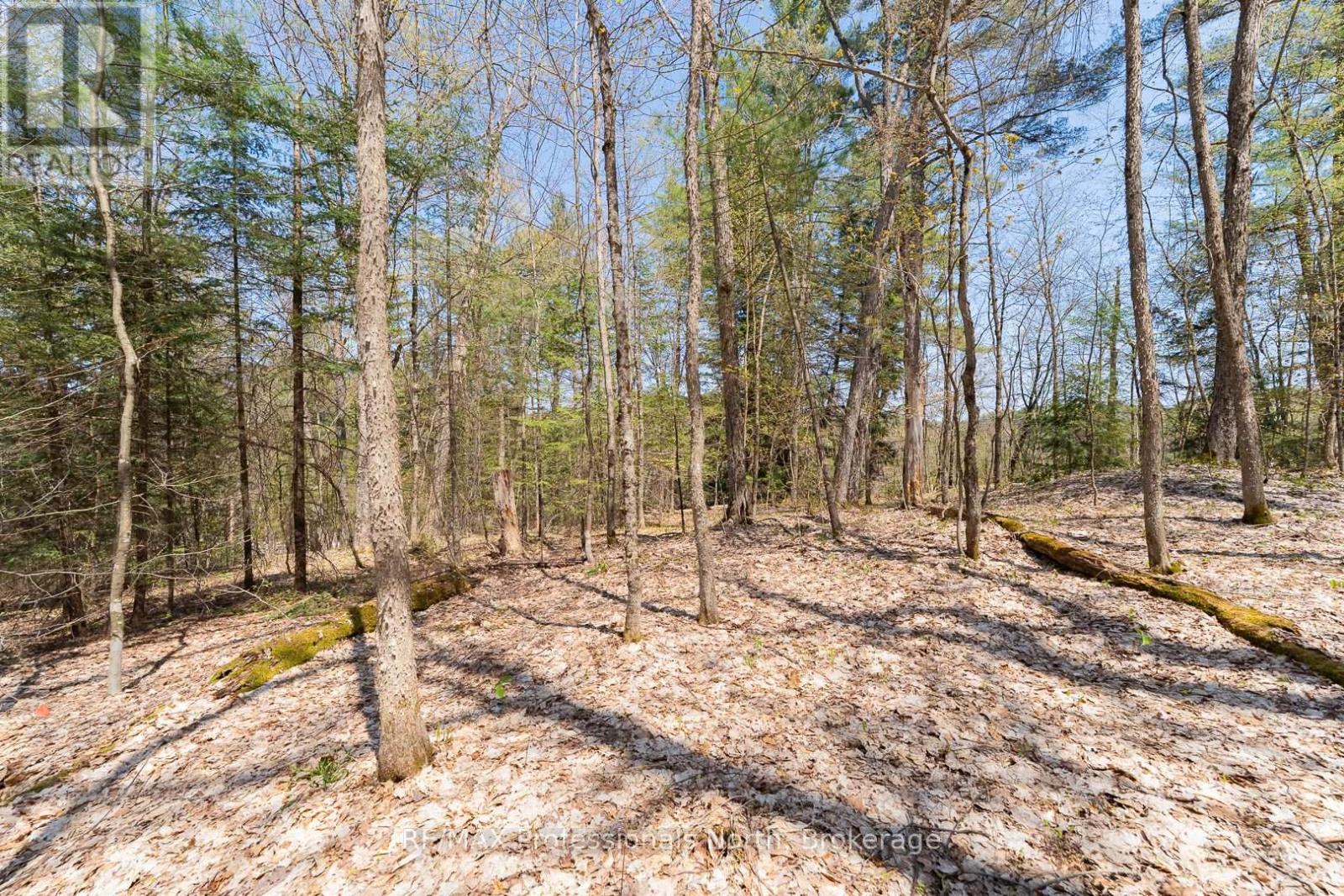 61 Clarkes Lane, Huntsville, Ontario  P0B 1M0 - Photo 23 - X12147581