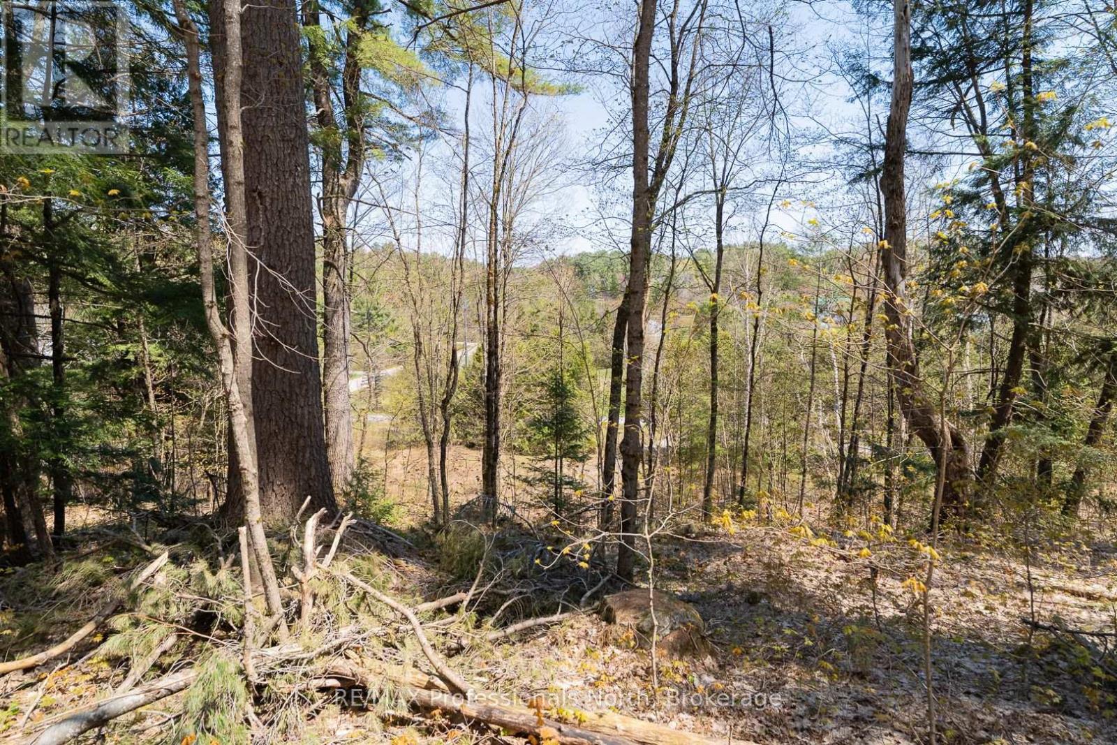 61 Clarkes Lane, Huntsville, Ontario  P0B 1M0 - Photo 24 - X12147581