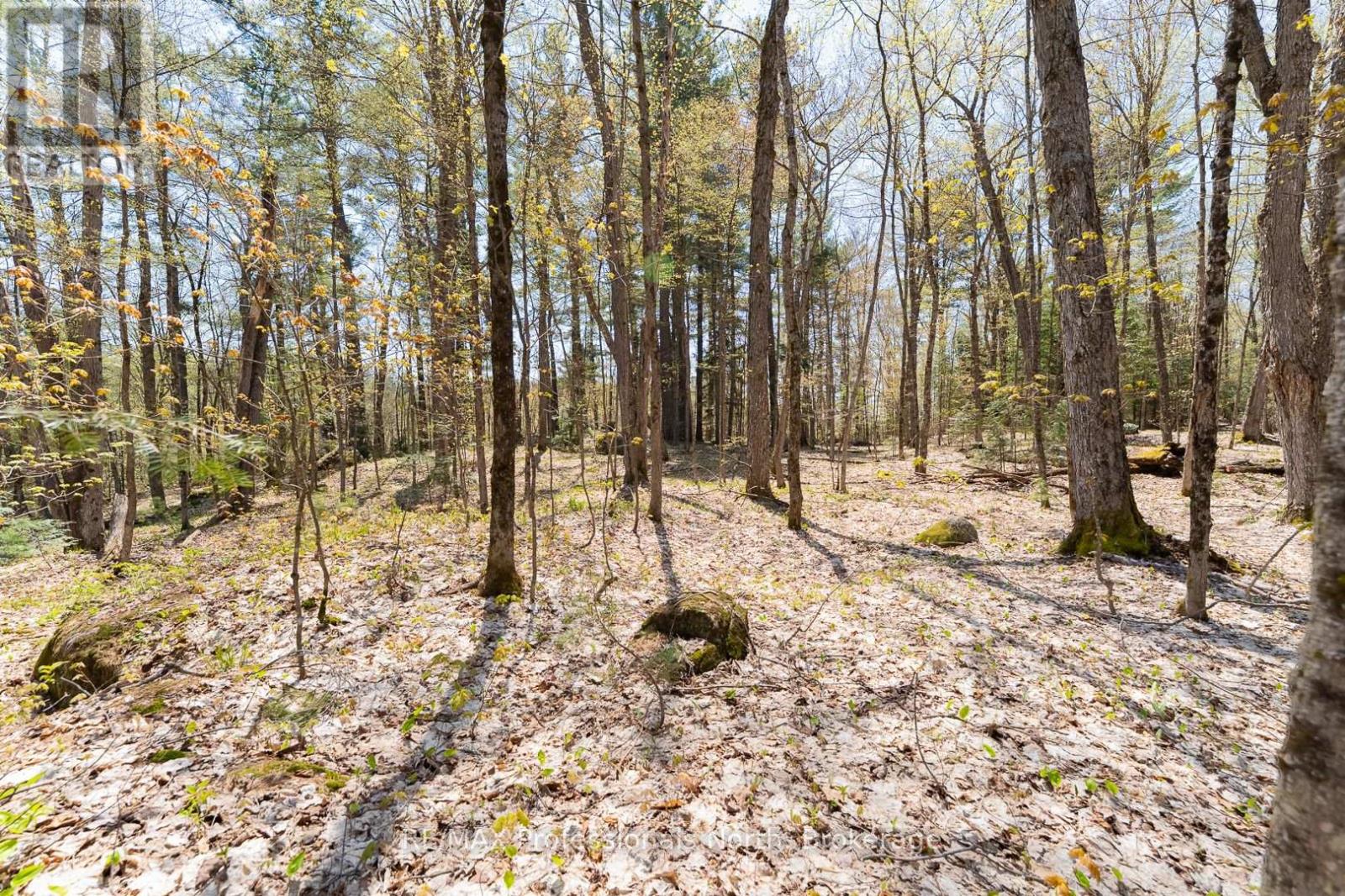 61 Clarkes Lane, Huntsville, Ontario  P0B 1M0 - Photo 25 - X12147581