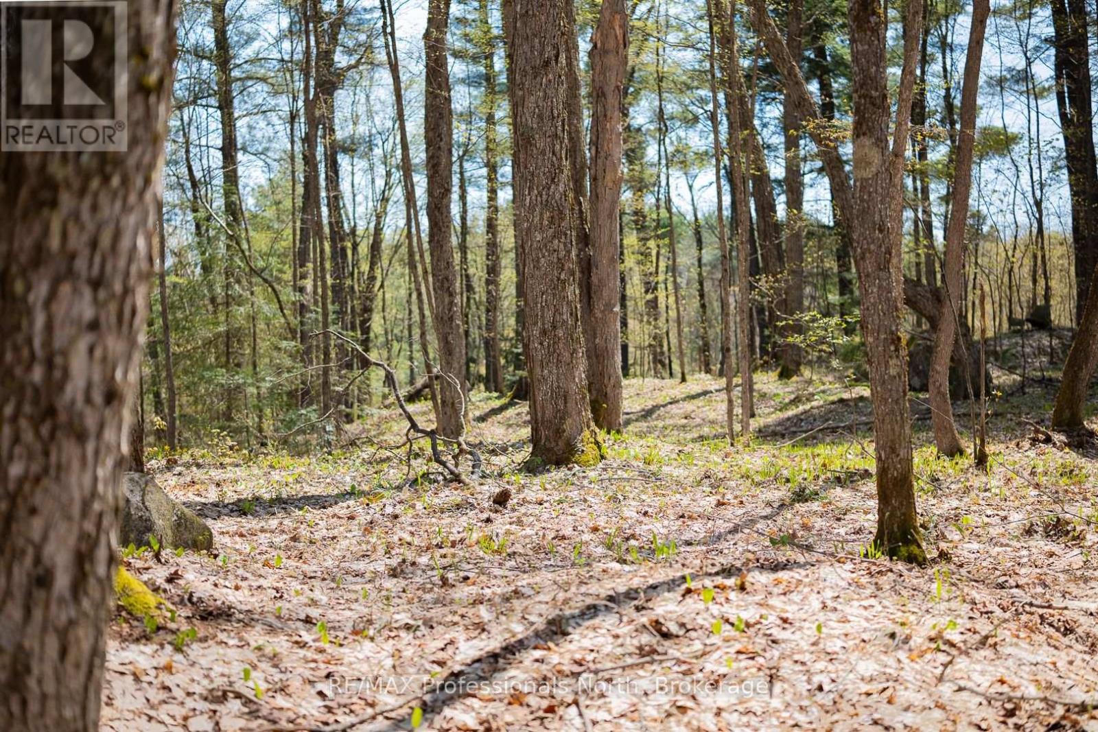 61 Clarkes Lane, Huntsville, Ontario  P0B 1M0 - Photo 26 - X12147581