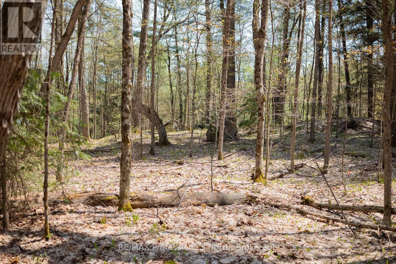 61 Clarkes Lane, Huntsville, Ontario  P0B 1M0 - Photo 27 - X12147581