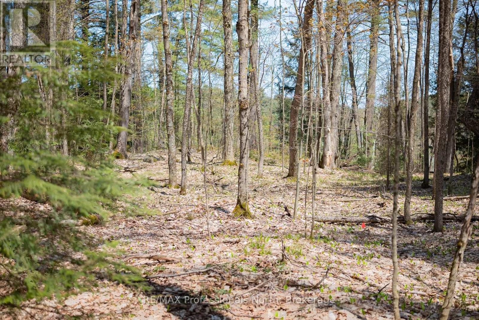 61 Clarkes Lane, Huntsville, Ontario  P0B 1M0 - Photo 28 - X12147581