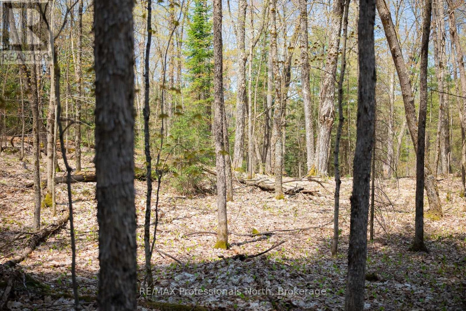 61 Clarkes Lane, Huntsville, Ontario  P0B 1M0 - Photo 29 - X12147581