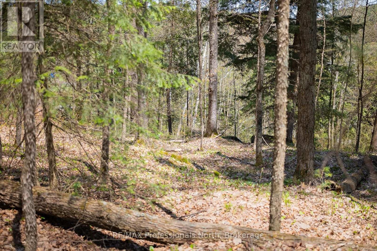 61 Clarkes Lane, Huntsville, Ontario  P0B 1M0 - Photo 30 - X12147581