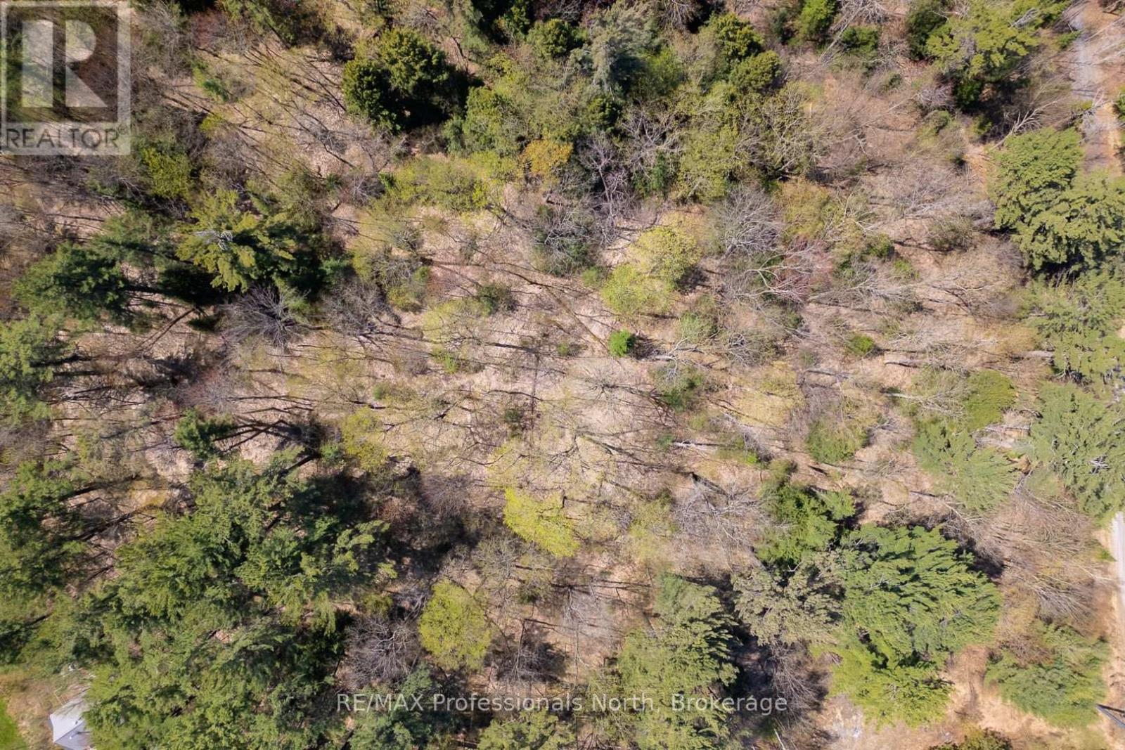 61 Clarkes Lane, Huntsville, Ontario  P0B 1M0 - Photo 8 - X12147581