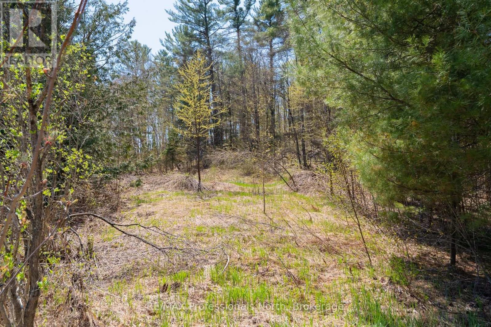 61 Clarkes Lane, Huntsville, Ontario  P0B 1M0 - Photo 9 - X12147581