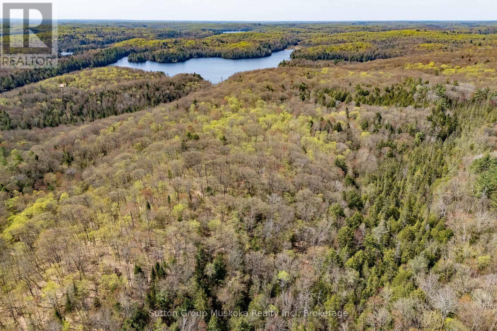 1667 Paint Lake Road, Lake Of Bays, Ontario  P0A 1E0 - Photo 1 - X12150606