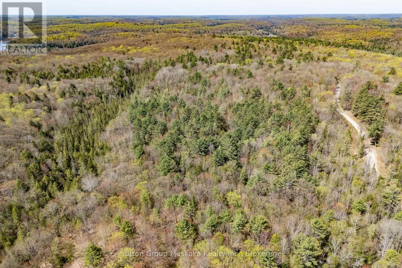 1667 Paint Lake Road, Lake Of Bays, Ontario  P0A 1E0 - Photo 2 - X12150606