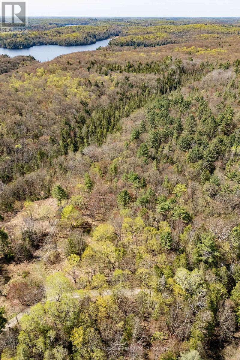 1667 Paint Lake Road, Lake Of Bays, Ontario  P0A 1E0 - Photo 3 - X12150606