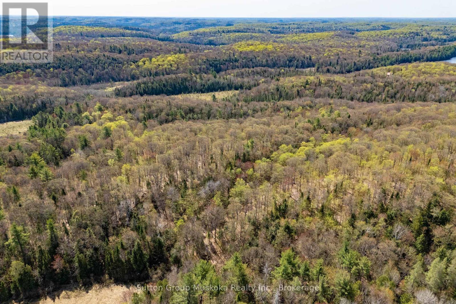 1667 Paint Lake Road, Lake Of Bays, Ontario  P0A 1E0 - Photo 4 - X12150606