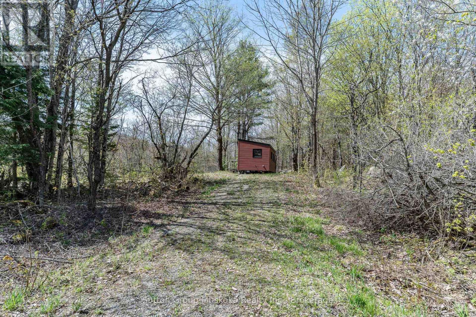 1667 Paint Lake Road, Lake Of Bays, Ontario  P0A 1E0 - Photo 5 - X12150606