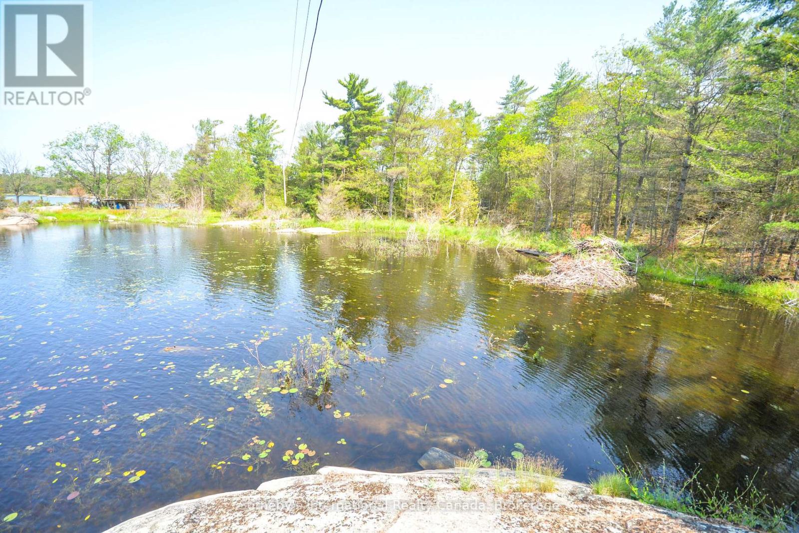 4648 Is 2190 Georgian Bay, Georgian Bay, Ontario  P0C 1H0 - Photo 5 - X12150806