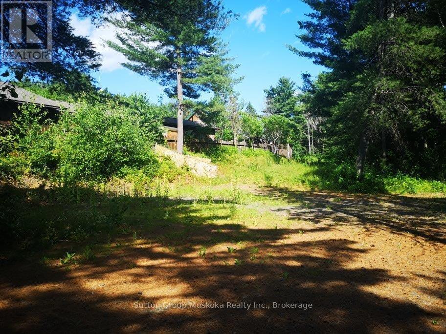 2832 Highway 60 Highway, Lake Of Bays, Ontario  P0A 1H0 - Photo 40 - X12154097