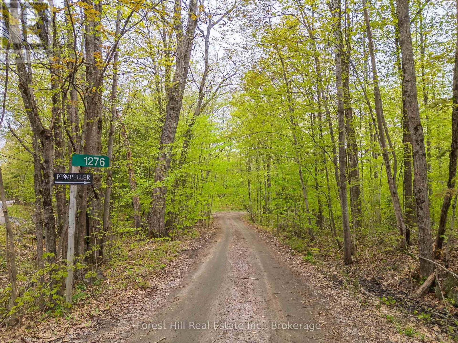 1276 East Bay Road, Muskoka Lakes, Ontario  P0C 1M0 - Photo 2 - X12155397