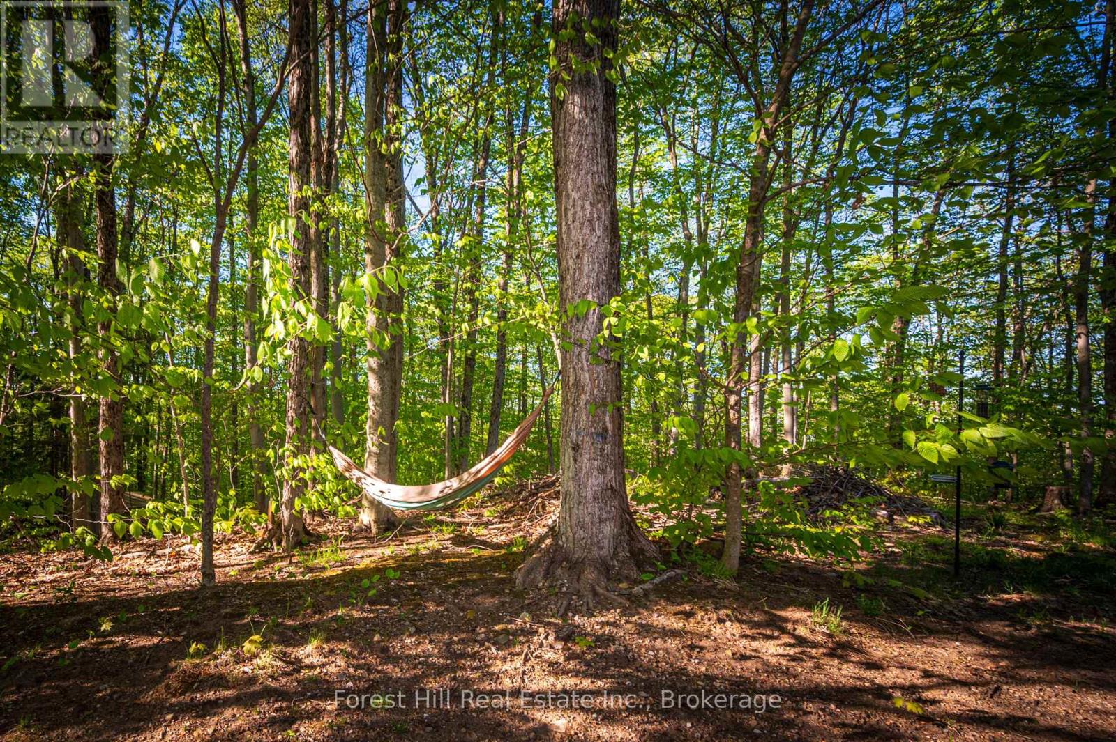 917 Portage Road, Lake Of Bays, Ontario  P1H 2J6 - Photo 36 - X12156233