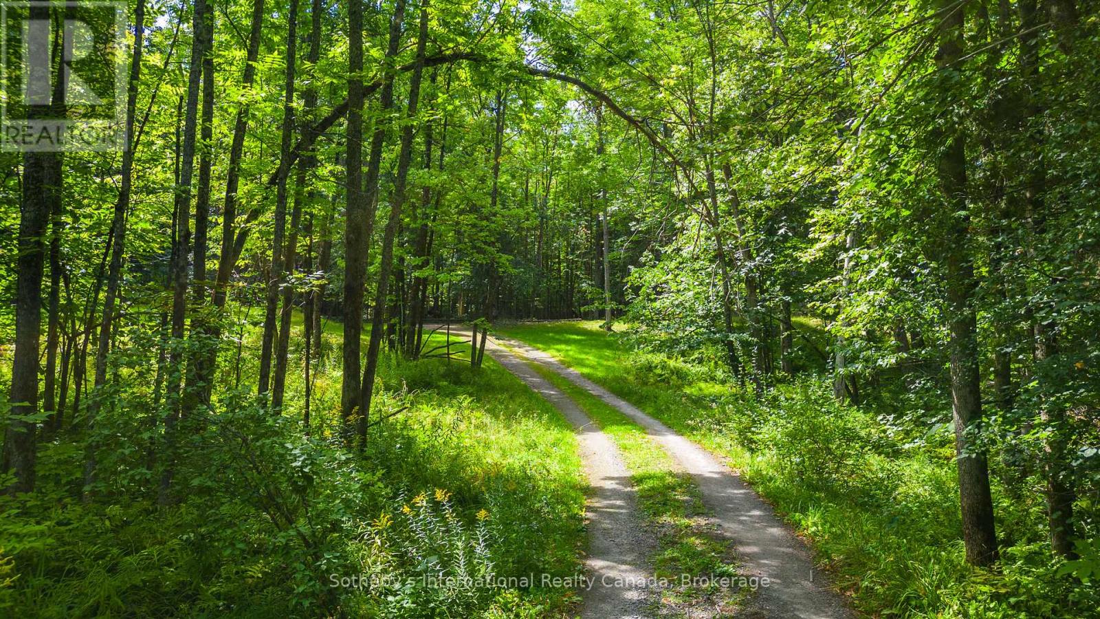 8 - 1124 Coate Road, Muskoka Lakes, Ontario  P0C 1J0 - Photo 10 - X12170817