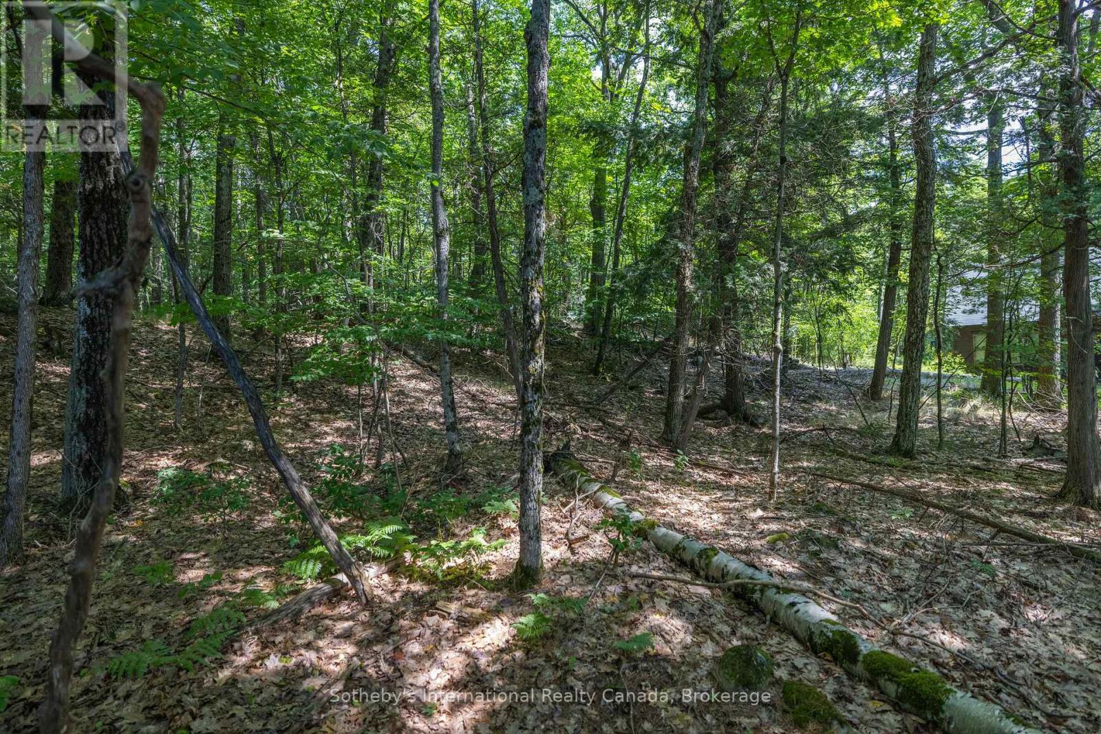 8 - 1124 Coate Road, Muskoka Lakes, Ontario  P0C 1J0 - Photo 28 - X12170817