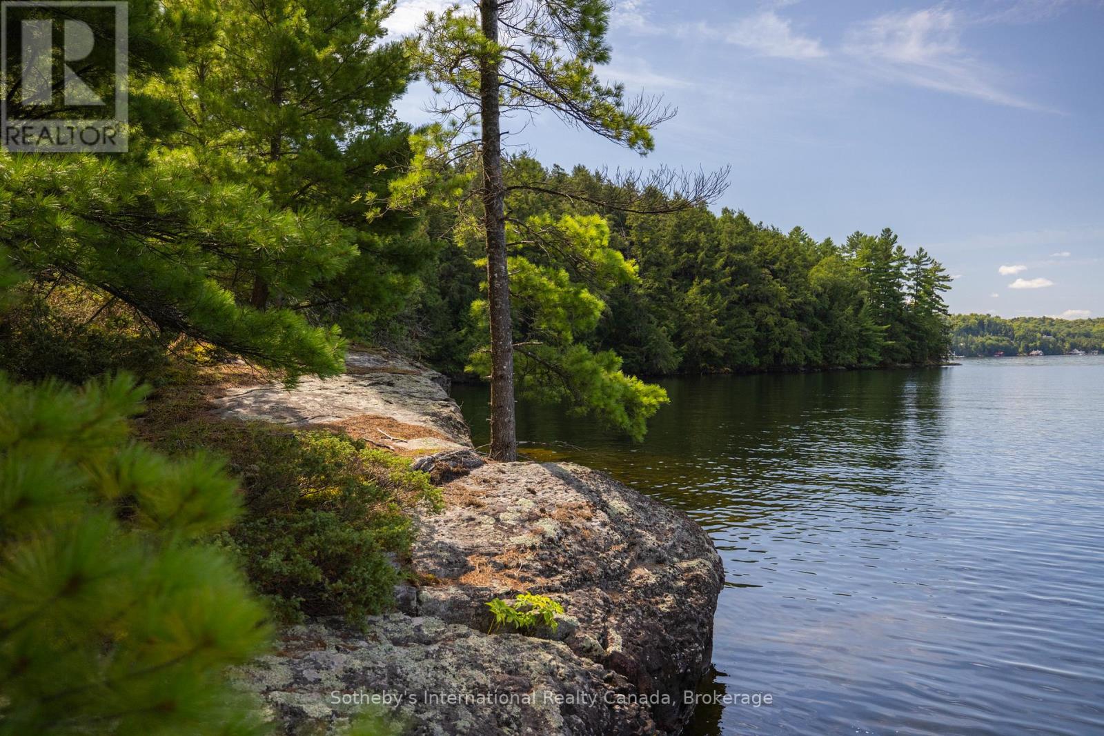 8 - 1124 Coate Road, Muskoka Lakes, Ontario  P0C 1J0 - Photo 3 - X12170817