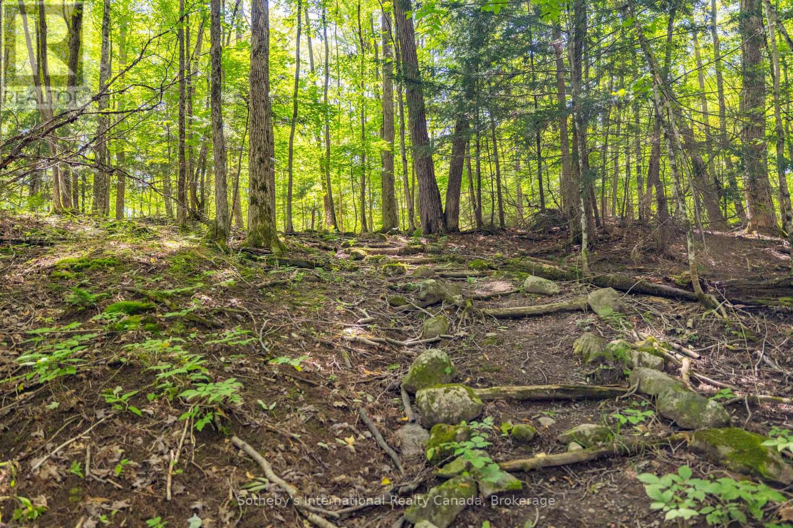 8 - 1124 Coate Road, Muskoka Lakes, Ontario  P0C 1J0 - Photo 32 - X12170817