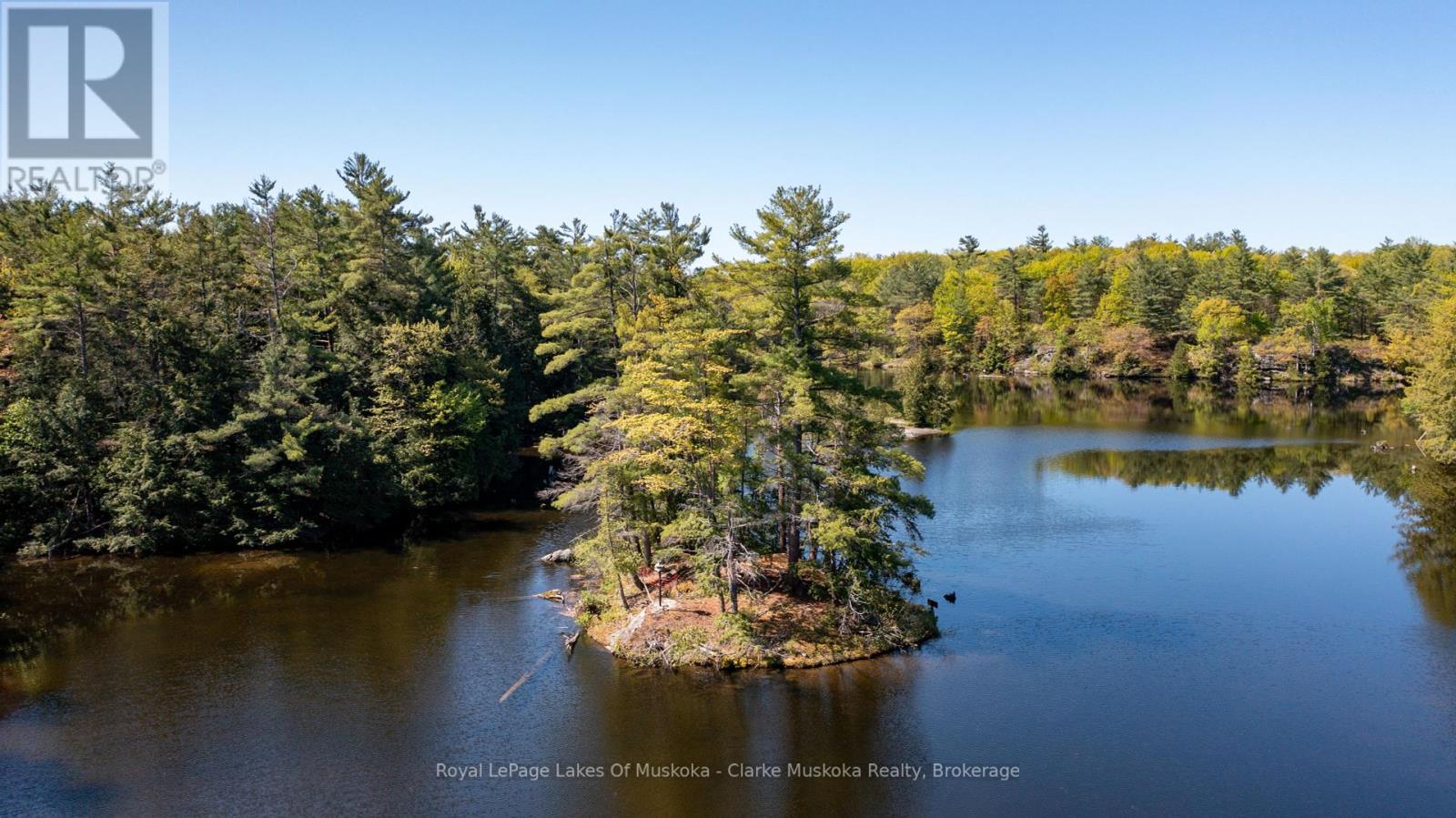 733 Whites Falls Road, Georgian Bay, Ontario  L0K 1S0 - Photo 5 - X12179731