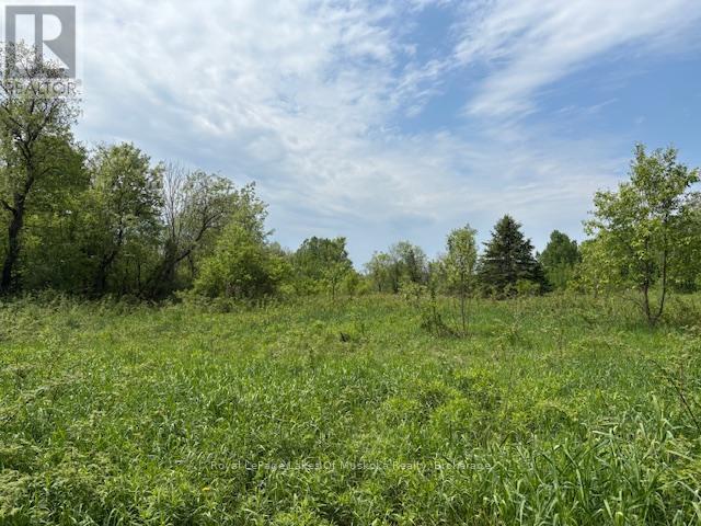 351 Ravenscliffe Road, Huntsville, Ontario  P1H 1L6 - Photo 10 - X12185211