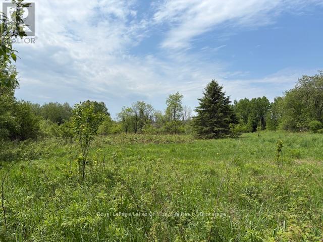 351 Ravenscliffe Road, Huntsville, Ontario  P1H 1L6 - Photo 13 - X12185211