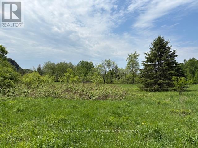 351 Ravenscliffe Road, Huntsville, Ontario  P1H 1L6 - Photo 14 - X12185211