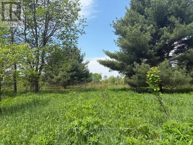 351 Ravenscliffe Road, Huntsville, Ontario  P1H 1L6 - Photo 2 - X12185211